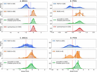Gene-based calibration of high-throughput functional assays for clinical variant classification