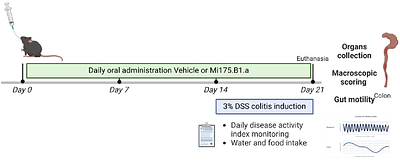 Impact of a standardized Tetradesmus obliquus Mi175.B1.a extract on gut function and physiology in inflammatory conditions: in vitro and in vivo insights