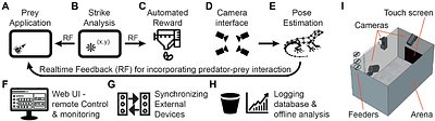 PreyTouch: An Automated System for Prey Capture Experiments Using a Touch Screen