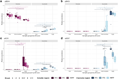 Stage-dependent tau post-translational modifications map the spatiotemporal progression of Alzheimer's disease