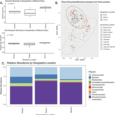 Characterization of household microbiomes from three unique cities around the world
