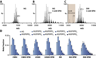 Native mass spectrometry of membrane protein-lipid interactions in different detergent environments