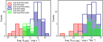 Peering into the heart of 3CR radio galaxies. A very long baseline
  interferometry perspective on optical-radio classifications at parsec scales