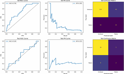 A Hierarchical Spatial Graph Neural Network Resolves Immunogenic and Tolerogenic Tertiary Lymphoid Structures in Renal Cell Carcinoma