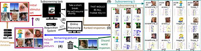 An online dynamic experimental framework to study single neuron responses in humans