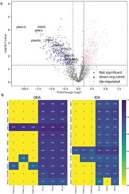 Proteomic and structural comparison between cilia from primary ciliary dyskinesia patients with a DNAH5 defect