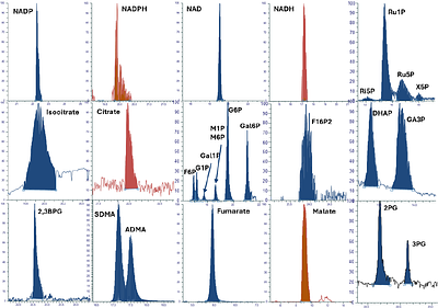 UCL-MetIsoLib: A Public High-Resolution Tandem Mass Spectrometry Library for HILIC-Based Isomer-Resolved Profiling of Glycolysis, Central Carbon Metabolism, and Beyond in Urine, Plasma, Tissues, Cells, and Patient-Derived Organoids