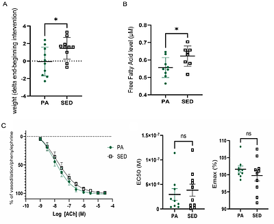 Single-cell transcriptomic analyses unveil exercise-induced changes in murine skin vascular endothelial cells