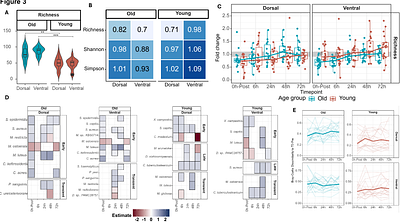 Host recovery after skin barrier disruption is individual-specific and associated with microbial functions
