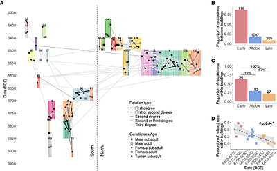 Female lineages and changing kinship patterns in Neolithic Catalhöyük