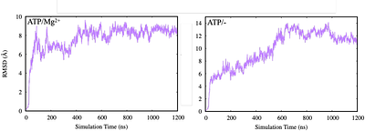 An Investigation of the Conformational Dynamics of ABC Exporter PCAT1 using Microsecond-Level MD Simulations