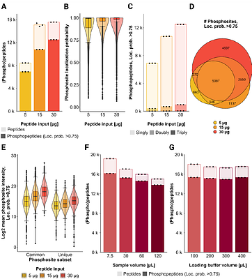 Systematic optimization of automated phosphopeptide enrichment for high-sensitivity phosphoproteomics