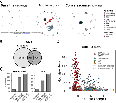 Deciphering antigen-driven T cell responses through vectorized TCRdist sequence neighborhood quantification