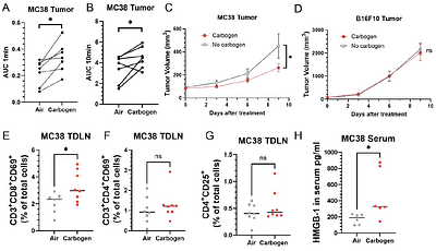 Improved Tumor Blood Flow Enhances the Abscopal Effect: Preclinical Assessment in Mice Treated with Combined Radiation and PD-1 Blockade Therapy