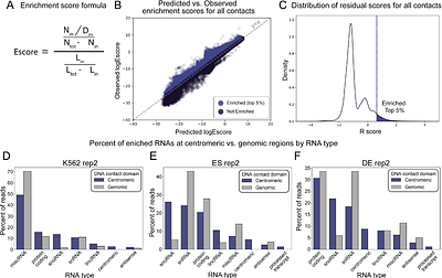Identification of chromatin-associated RNAs at human centromeres