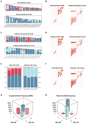 Interchromosomal Linkage Disequilibrium Analysis Reveals Strong Indications of Sign Epistasis in Wheat Breeding Families
