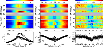 Detection of a large-scale organized 2 kG order magnetic field in the Herbig Ae star HD179218