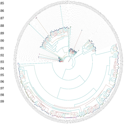 Tracing SARS-CoV-2 Evolution in Algeria: Insights from 2020-2023