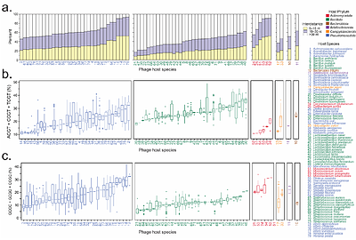 Large-Scale Genomic Analysis of CpG-Mediated Immunogenicity in Bacteriophages and a Novel Predictive Risk Index