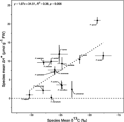 A continuum of CAM phenotypes in the carnivorous plant genus Pinguicula (Lentibulariaceae)
