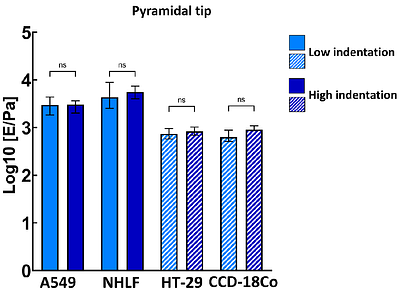 Indenting multi-cellular spheroids with various cantilever tip geometry