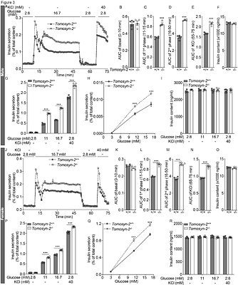 Tomosyn-2 Regulates Postnatal β-Cell Expansion and Insulin Secretion to Maintain Glucose Homeostasis.