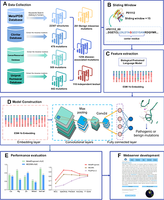 MetalPrognosis: a Biological Language Model-based Approach for Disease-Associated Mutations in Metal-Binding Site prediction