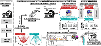 Closing the loop between brain and electrical stimulation: A proof-of-concept randomized trial of real-time fMRI-guided tACS optimization