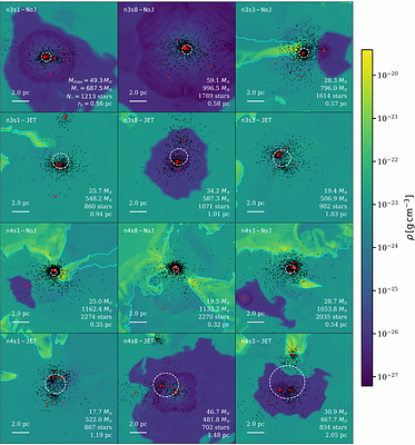 Centrally concentrated star formation in young clusters II: Jet feedback