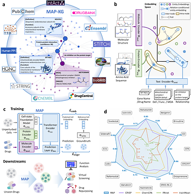 MAP: A Knowledge-driven Framework for Predicting Single-cell Responses for Unprofiled Drugs