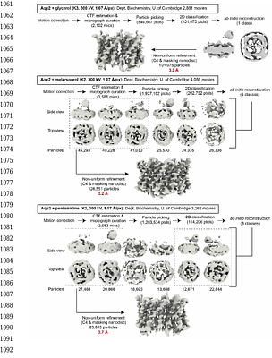Insights from aquaporin structures into drug-resistant sleeping sickness