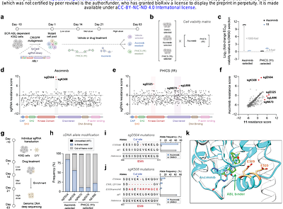 Phosphorylation-inducing chimera rewires oncogenic kinase to trigger apoptosis