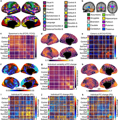 Convergent and divergent brain-cognition relationships during development revealed by cross-sectional and longitudinal analyses in the ABCD Study