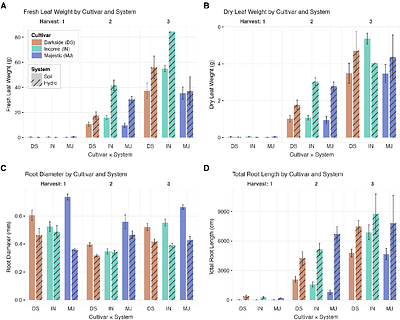 Comparative analysis of root morphology in several spinach (Spinacia oleracea) varieties: Field vs Hydroponic growth systems