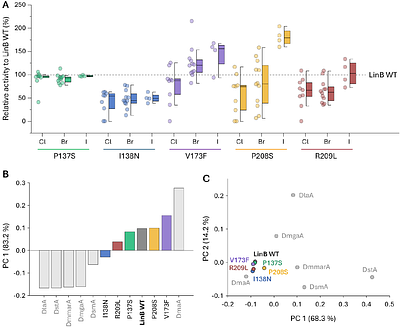 Uncovering Functional Distant Mutations by Ultra-High-Throughput Screening of Dehalogenases