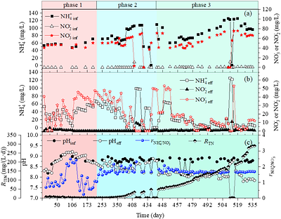 A new nitrogen biochemical process: Oxidization of ammonium into nitrogen gas using nitrate