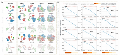 A transcriptomics-native foundation model for universal cell representation and virtual cell synthesis