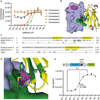 Humanized Caffeine-Inducible Systems for Controlling Cellular Functions