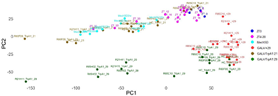 Brain Transcriptomics Across Diverse Sleep-Wake Manipulations Reveals Multiple Homeostatic Pathways in Drosophila