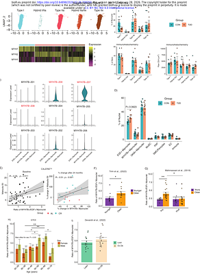 A full-length single nuclei transcriptomic atlas of human skeletal muscle insulin resistance