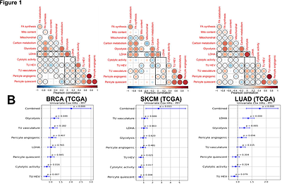 A tumor metabolism-angiogenesis-immune axis governs immunotherapy responses