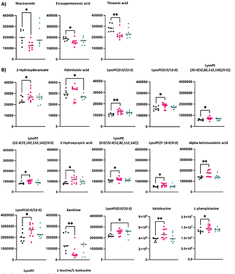 Metabolic alterations in the absence of a detectable neuromuscular phenotype in novel genomically humanised SOD1A4V mice.