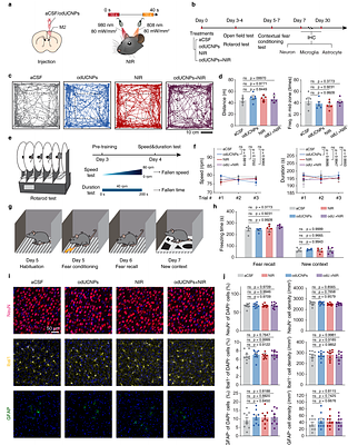 An orthogonal near-infrared optical switch for wireless neuromodulation in freely behaving mice