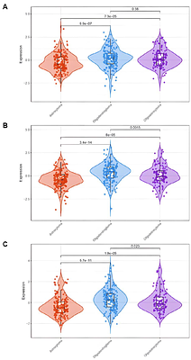 DLG2-DLG4 expression in lower-grade glioma is associated with improved survival and an excitatory synaptic transmission and plasticity gene signature