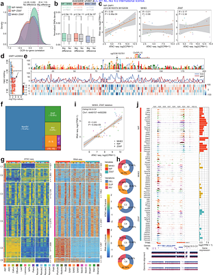 Comprehensive mapping and modelling of the rice regulome landscape unveils the regulatory architecture underlying complex traits