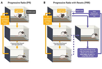 A progressive ratio task with costly resets reveals adaptive effort-delay tradeoffs