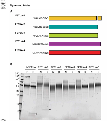 Nature's antivenom: Combinations of conserved rattlesnake serum metalloproteinase inhibitors block the lethal action of viper venoms