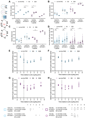 ImmTACs overcome cytotoxic T cell suppression