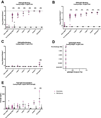 Transient lung eosinophilia during breakthrough influenza infection in vaccinated mice is associated with protective and balanced Type 1/2 immune responses.