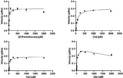Thiazole substitution of a labile amide bond - a new option towards stable pantothenamide-mimics